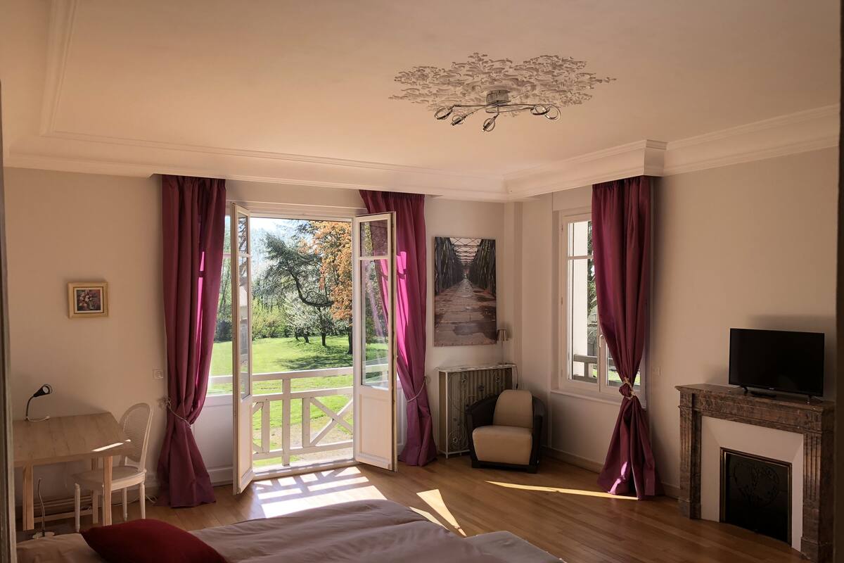 Une chambre à coucher avec un grand lit, un bureau, une chaise, une télévision et une cheminée.