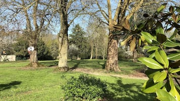 Chambre Exécutive | Vue de la chambre