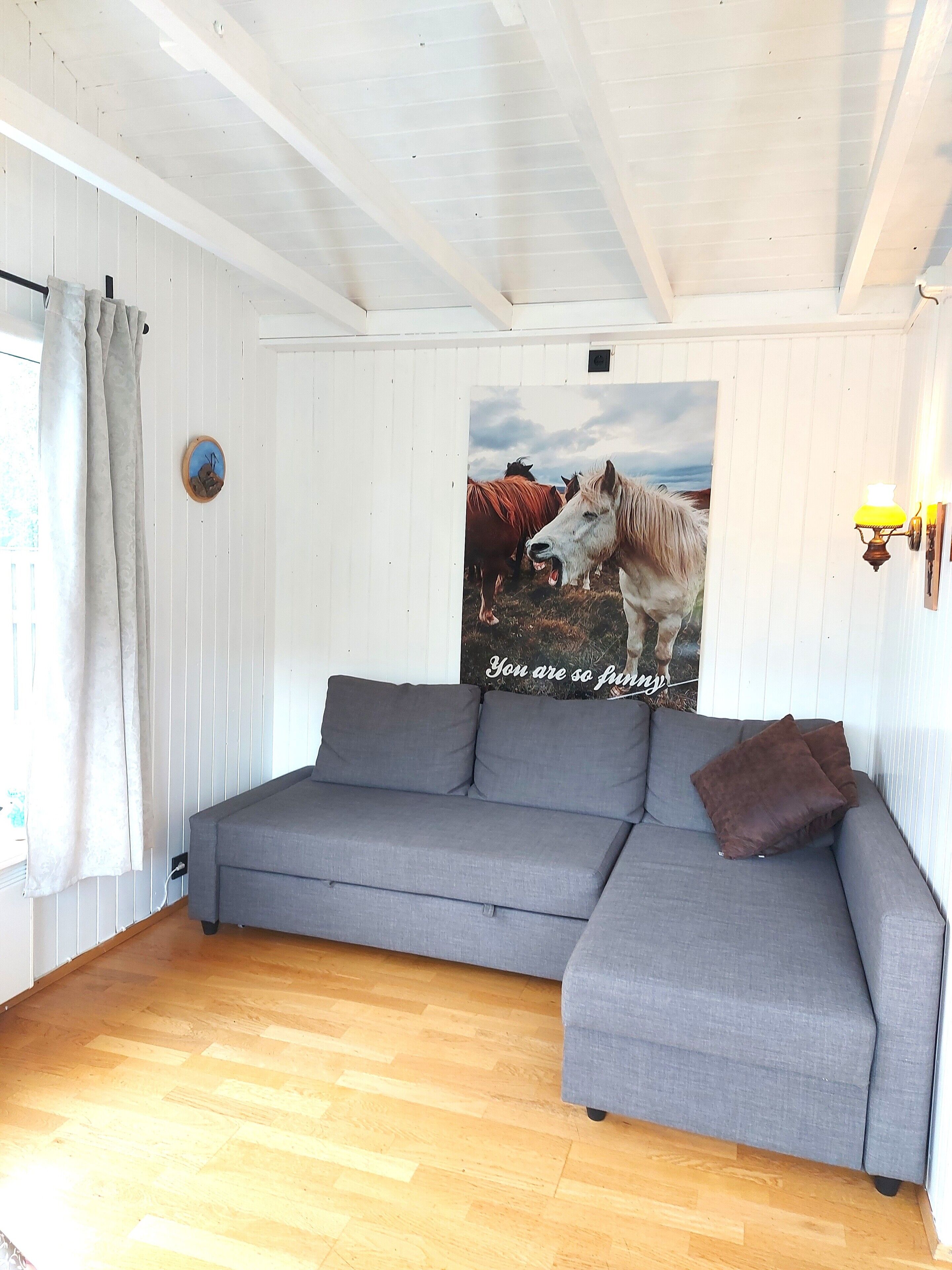 A room with a grey sectional sofa, wooden flooring, a white wall with a horse poster, and a window with curtains.