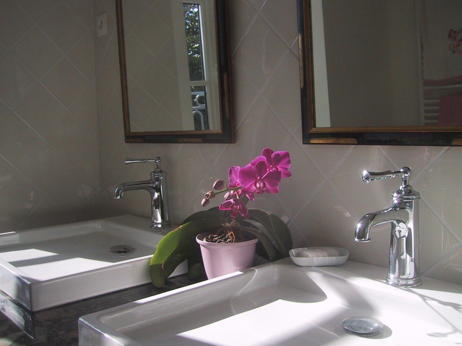 A bathroom with two sinks, a mirror, and a potted plant.