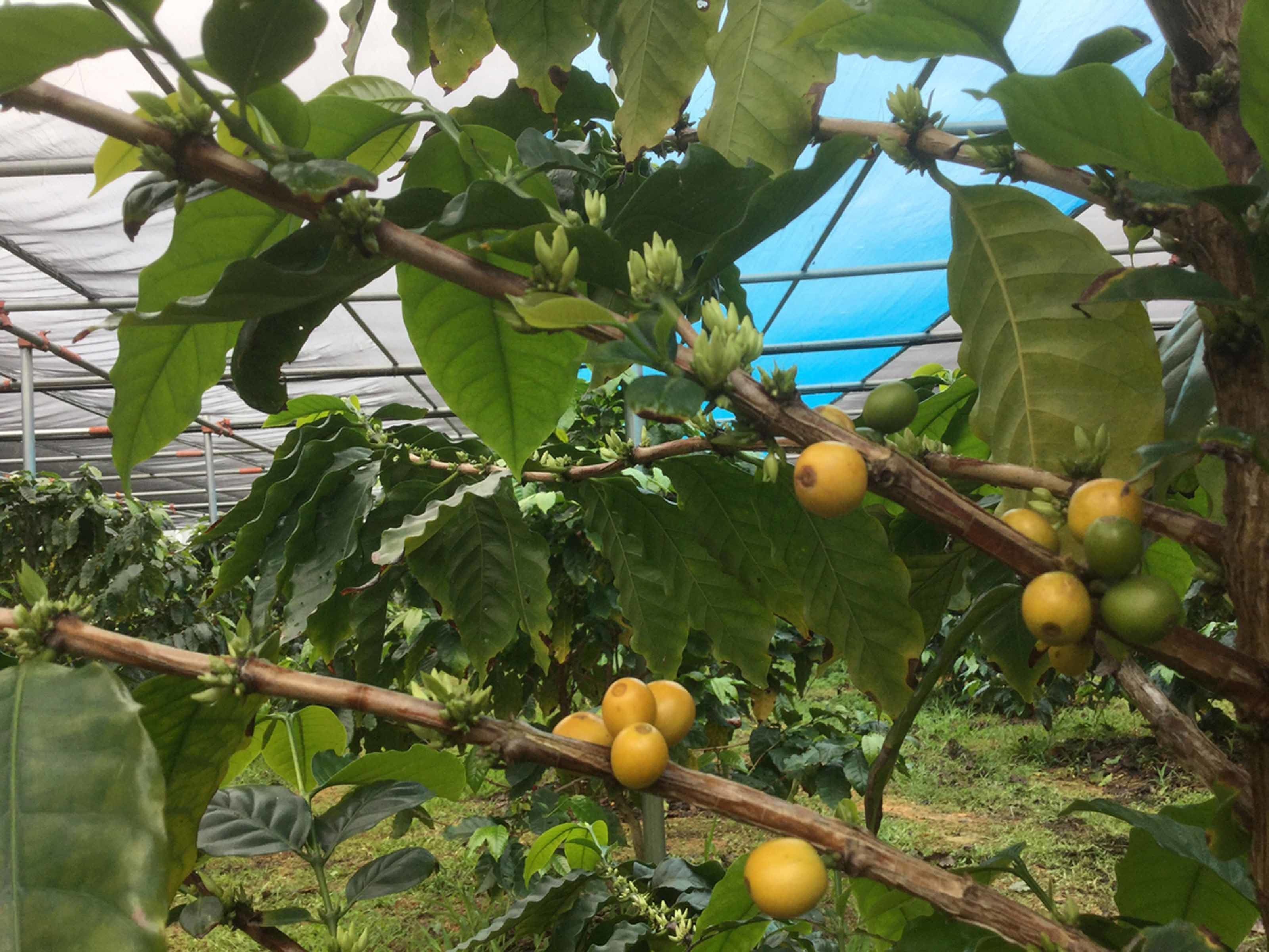 숙박 시설 구내
