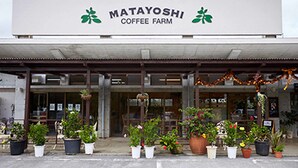 Exterior de la finca de café Matayoshi, con una entrada cubierta, plantas en macetas y un letrero en la parte superior.
