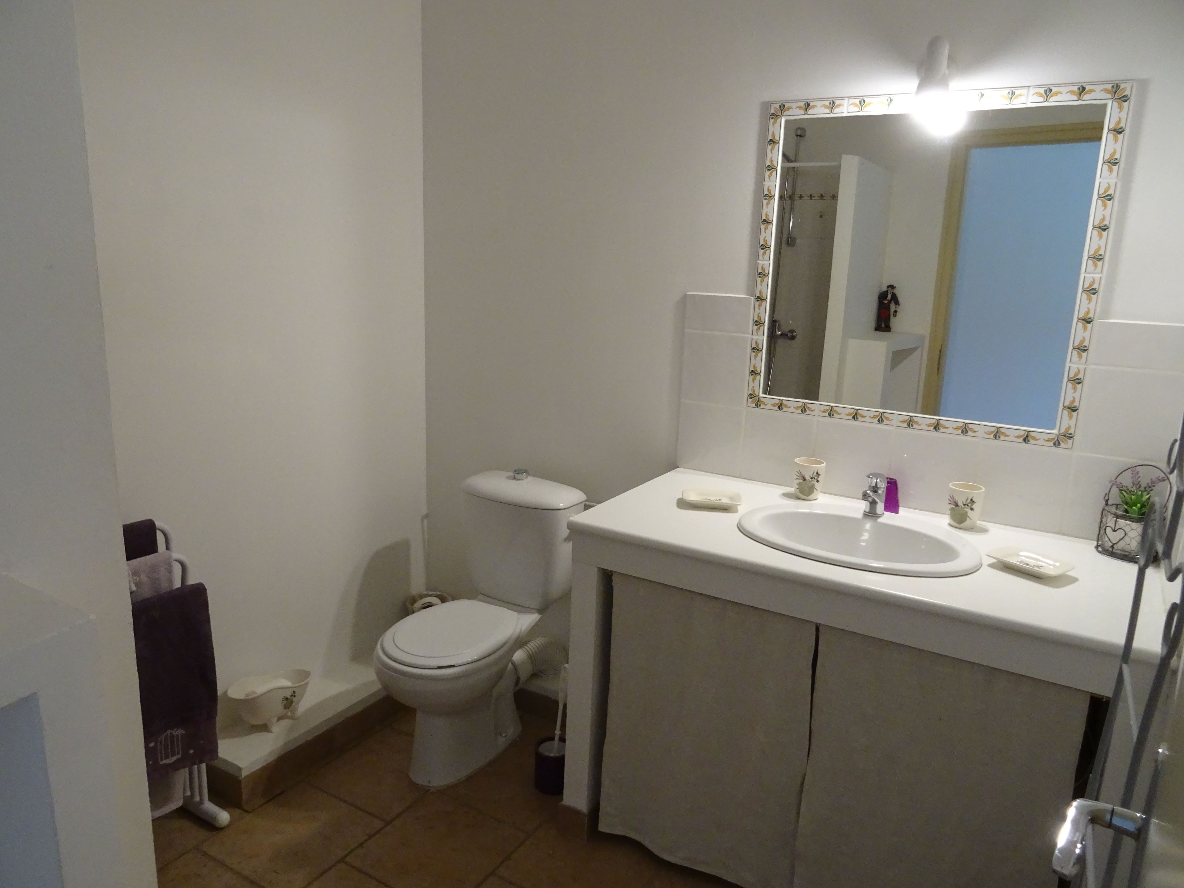 Un baño con inodoro, lavabo y espejo.