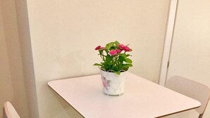 Una pequeña mesa blanca con una planta en maceta, flanqueada por dos sillas blancas de patas metálicas.