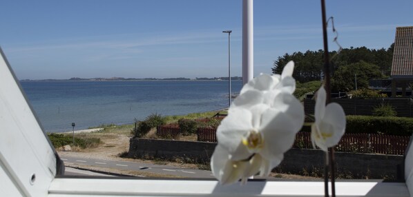 Vista desde la propiedad