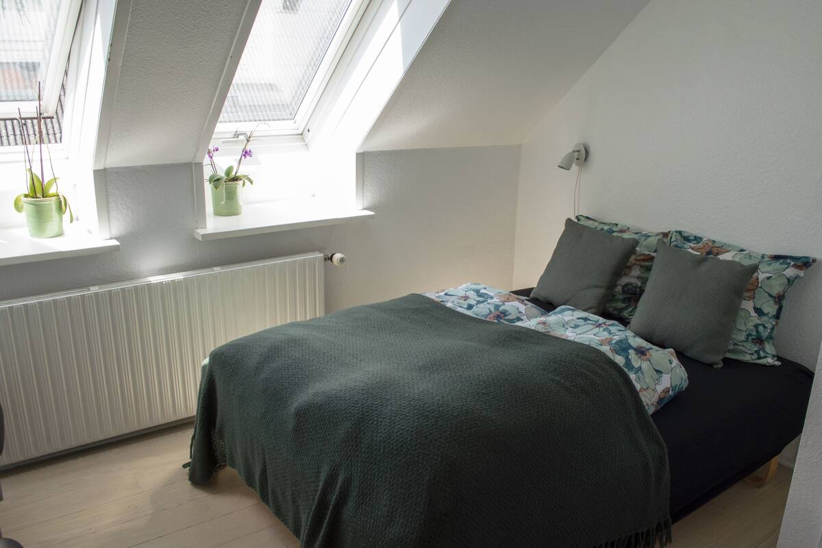 A bedroom with a skylight, a radiator, a bed with floral bedding, and two potted plants.