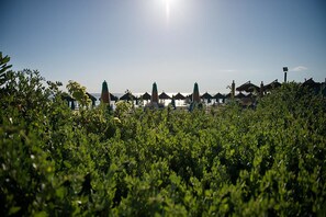 Privat strand, solsenger og parasoller
