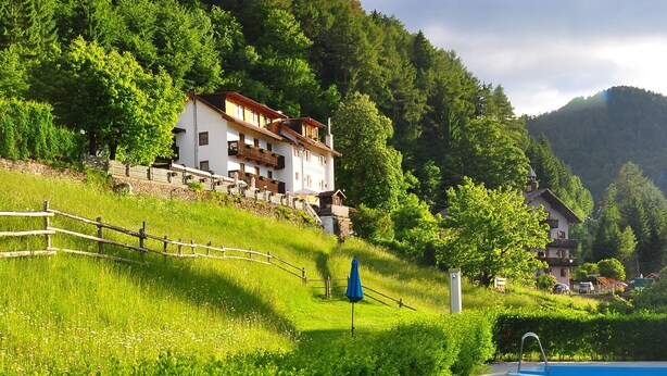 A swimming pool with a wooden deck, surrounded by lush greenery and a hillside. - Bad St.Isidor (Bolzano)