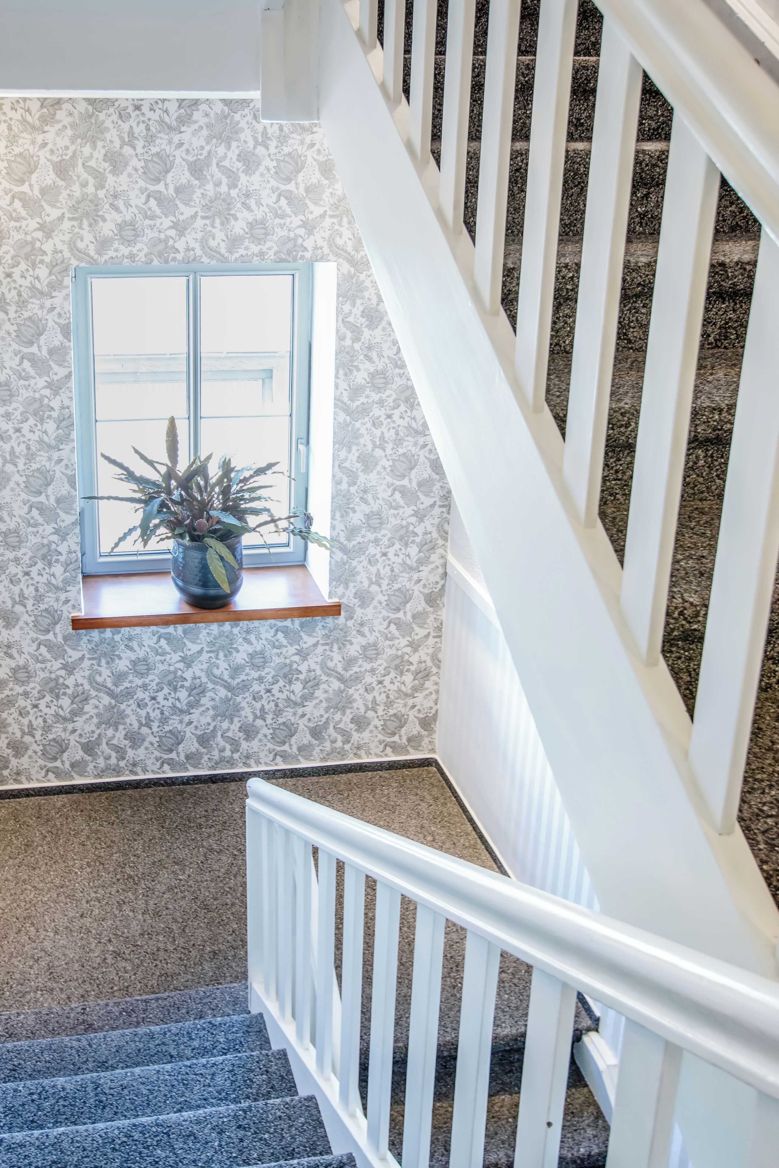 A staircase with white railings and a window with a plant on the landing.