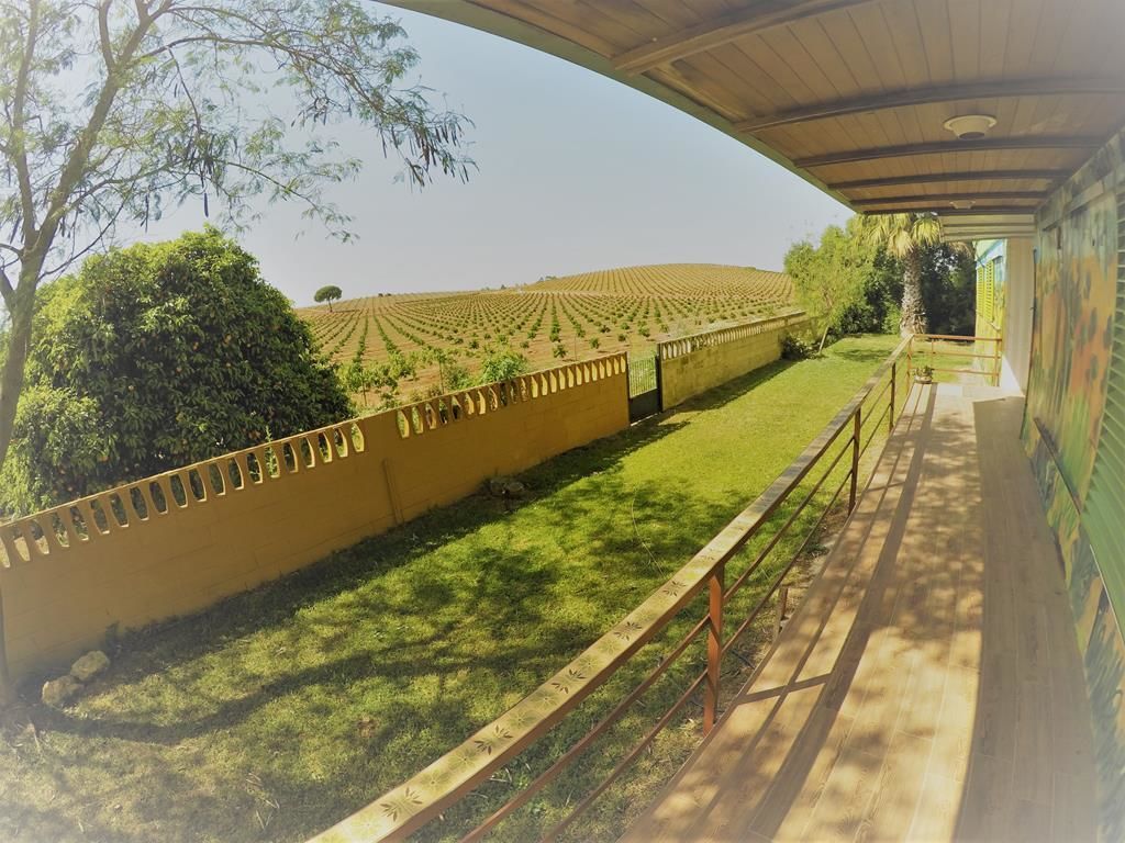 Foto - Huerta La Cansina