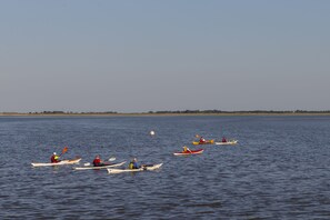 Vista da propriedade