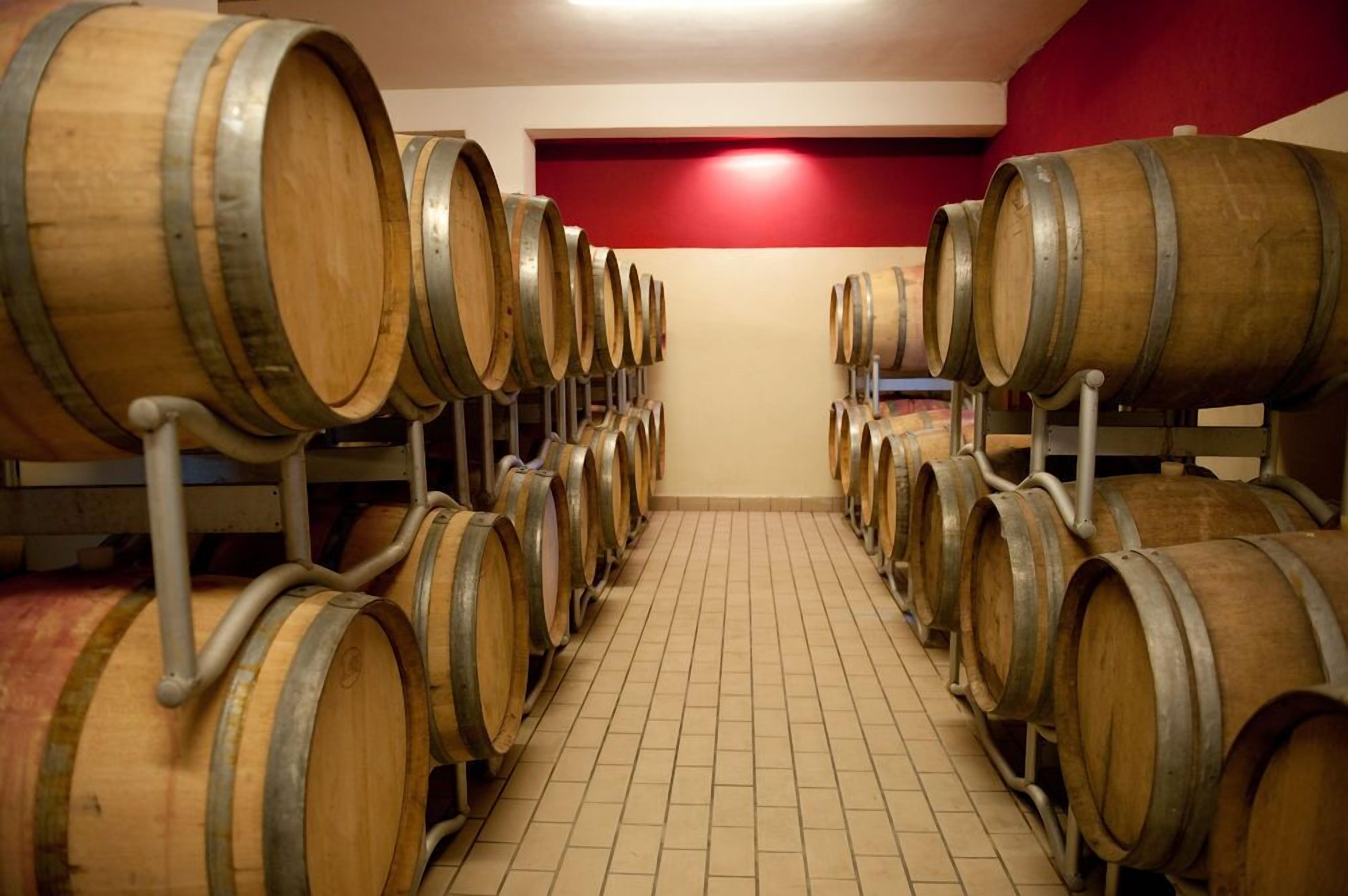 Une cave à vin avec des rangées de barriques en bois posées sur des étagères métalliques, un sol carrelé et un mur rouge en arrière-plan.