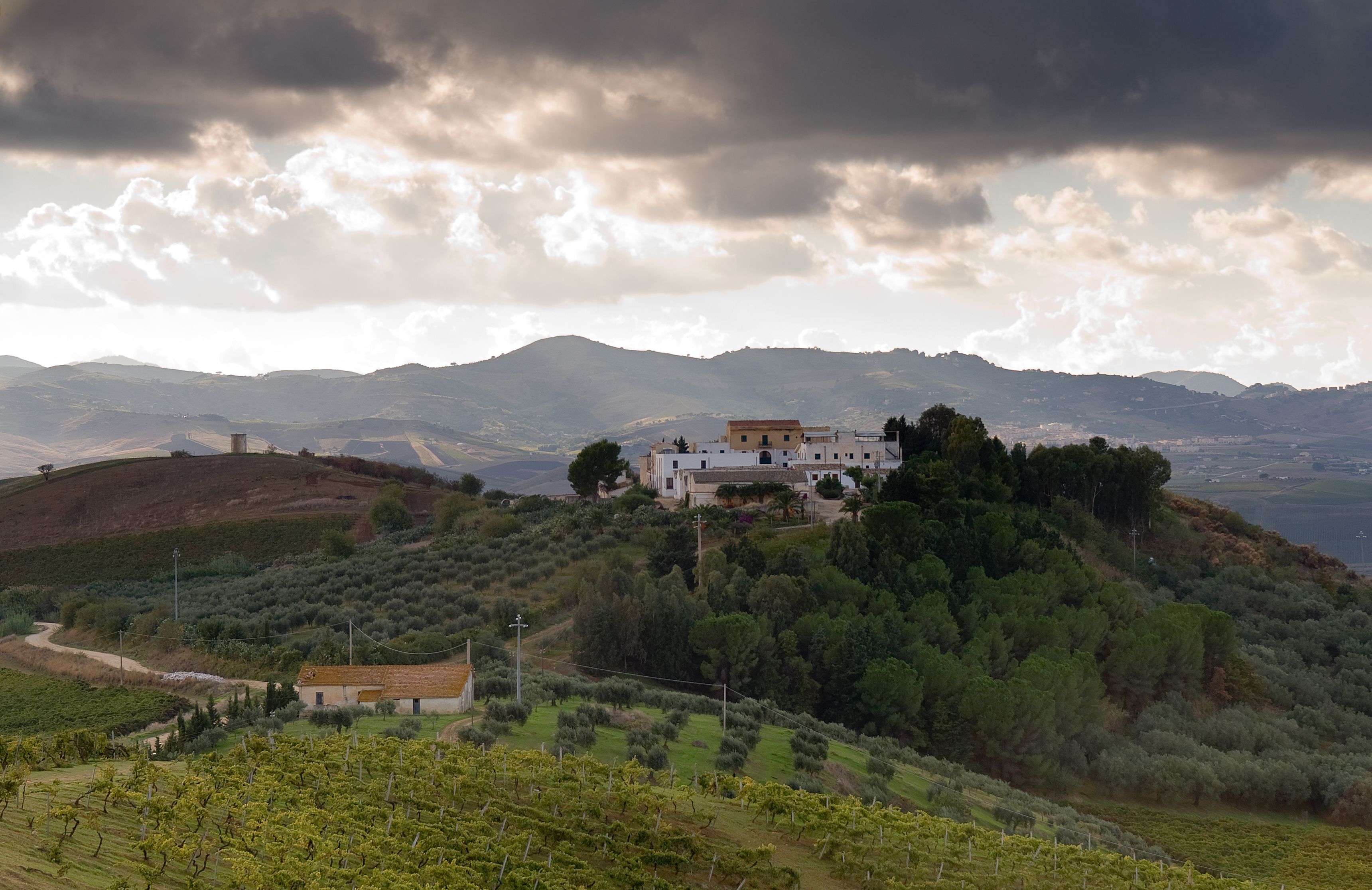 A large white building with a red roof on a hill, surrounded by vineyards and trees, with mountains in the background.