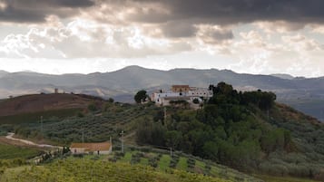 A large white building with a red roof on a hill, surrounded by vineyards and trees, with mountains in the background.