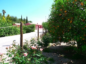Jardines del alojamiento