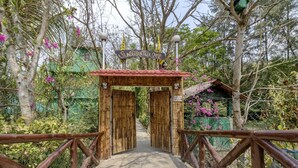 Un puente de madera que conduce a un portón de bambú con la leyenda 'Sunderban Tiger Camp'.