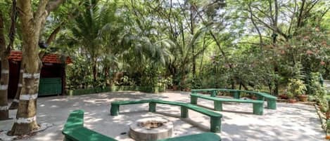Área de parrillas y picnic