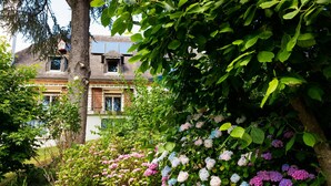 Une maison avec un jardin agrémenté d’hortensias et d’un arbre.