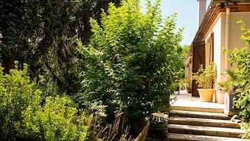 Teras/patio