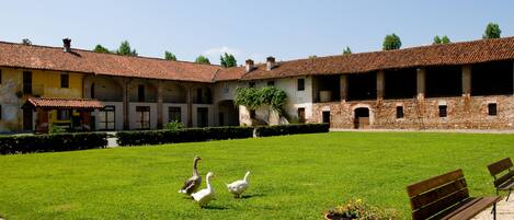 Jardin