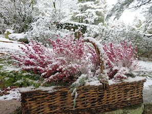 Jardines del alojamiento