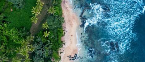 An aerial view of a beach with palm trees and rocky shoreline.