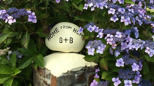 Garden - Home From Home B&B (Bideford)