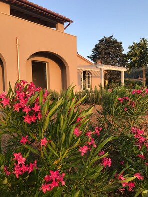 Property grounds - Relais dei Molini (Castagneto Carducci)