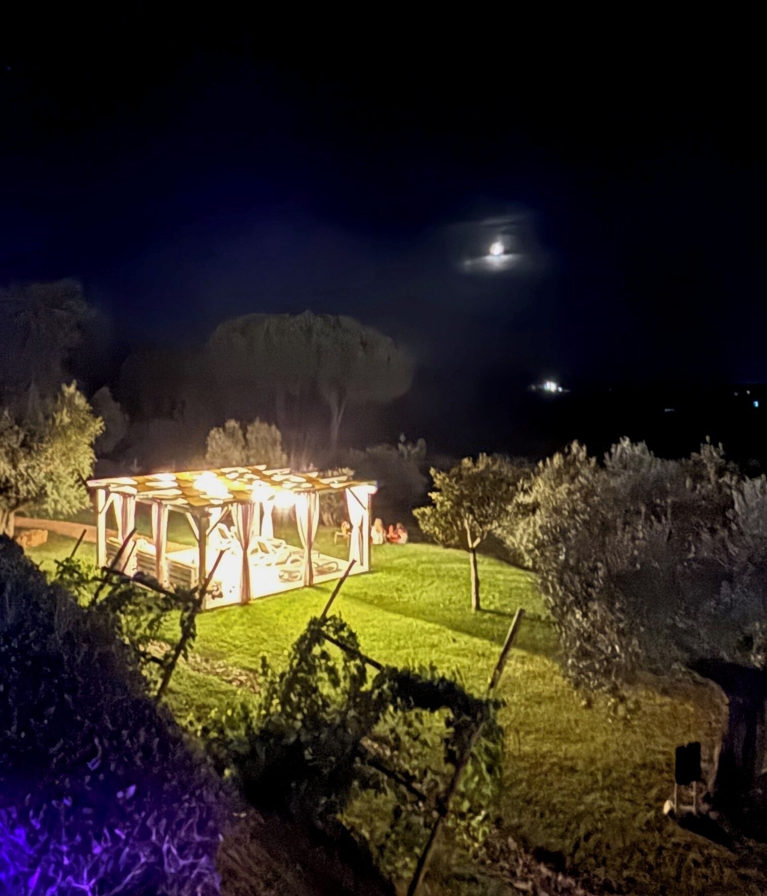 A gazebo with a roof and walls, surrounded by a grassy area with trees and shrubs.