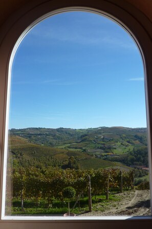 Landuitzicht vanuit accommodatie