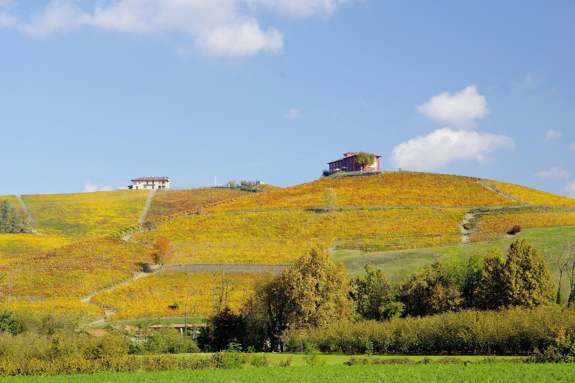 A hillside with a building on top, surrounded by autumn-colored trees and a clear sky.