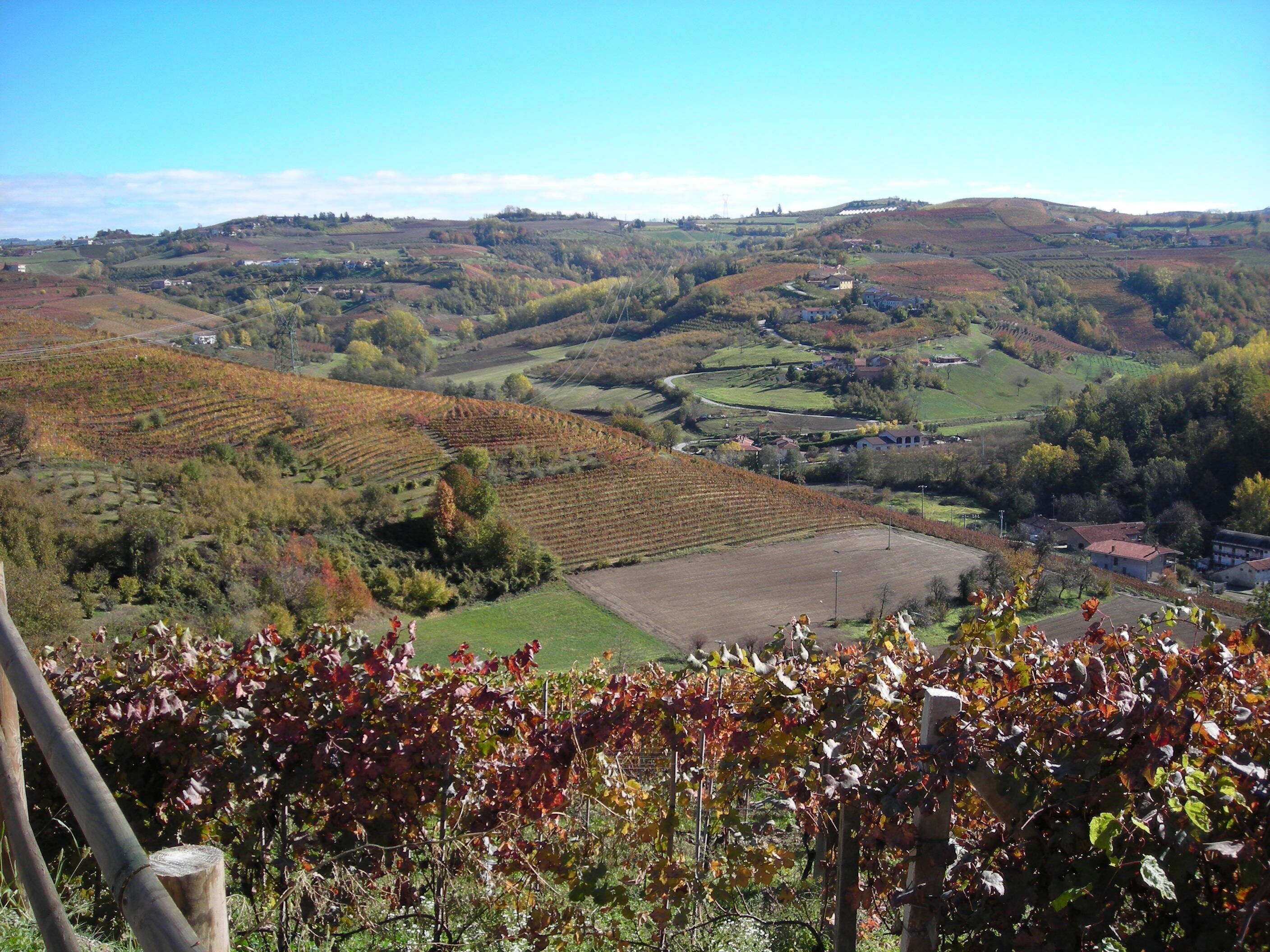A rural landscape with terraced vineyards, rolling hills, and scattered houses.