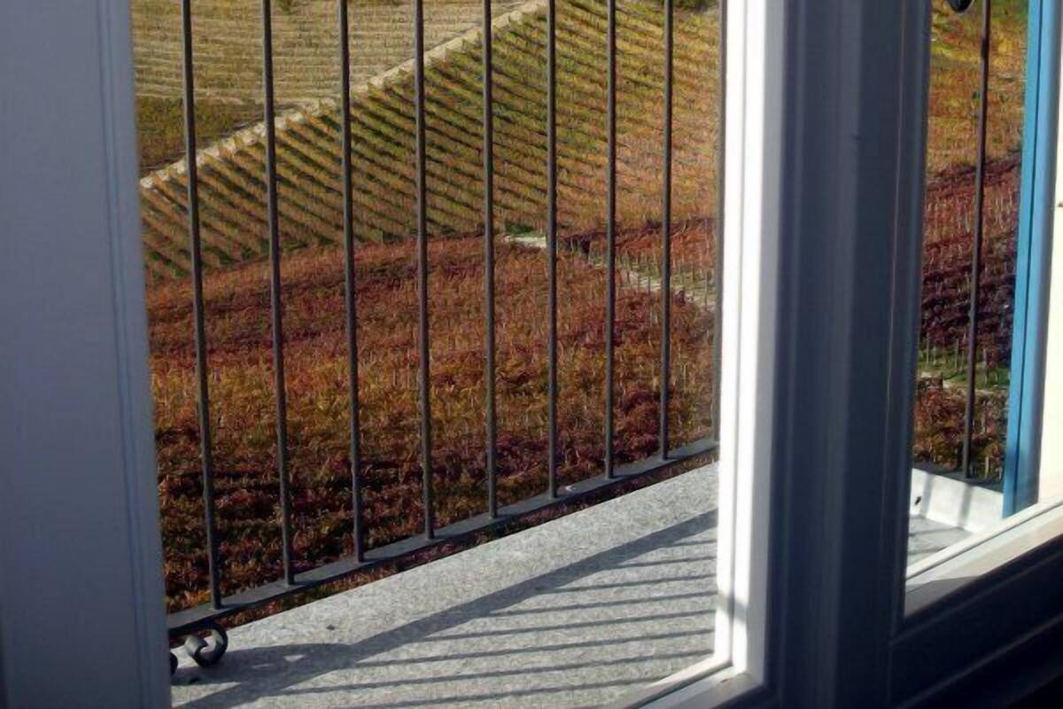 Un balcon doté d’une balustrade en métal donnant sur un vignoble.