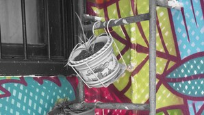 Un muro lleno de grafitis coloridos con una repisa metálica que sostiene plantas en macetas.