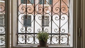 A window with ornate iron bars and a potted plant in the foreground.