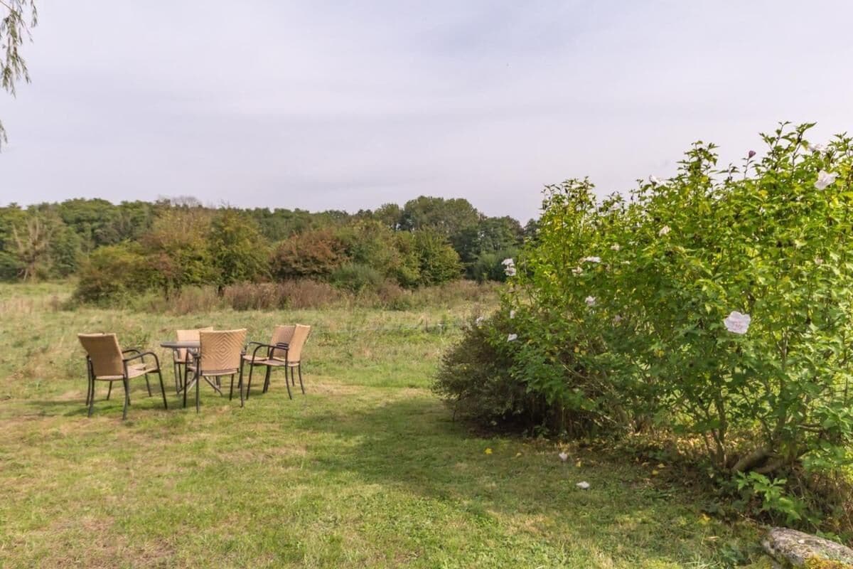 Un espace extérieur verdoyant, avec une table et quatre chaises, entouré d’une végétation luxuriante et d’arbres.