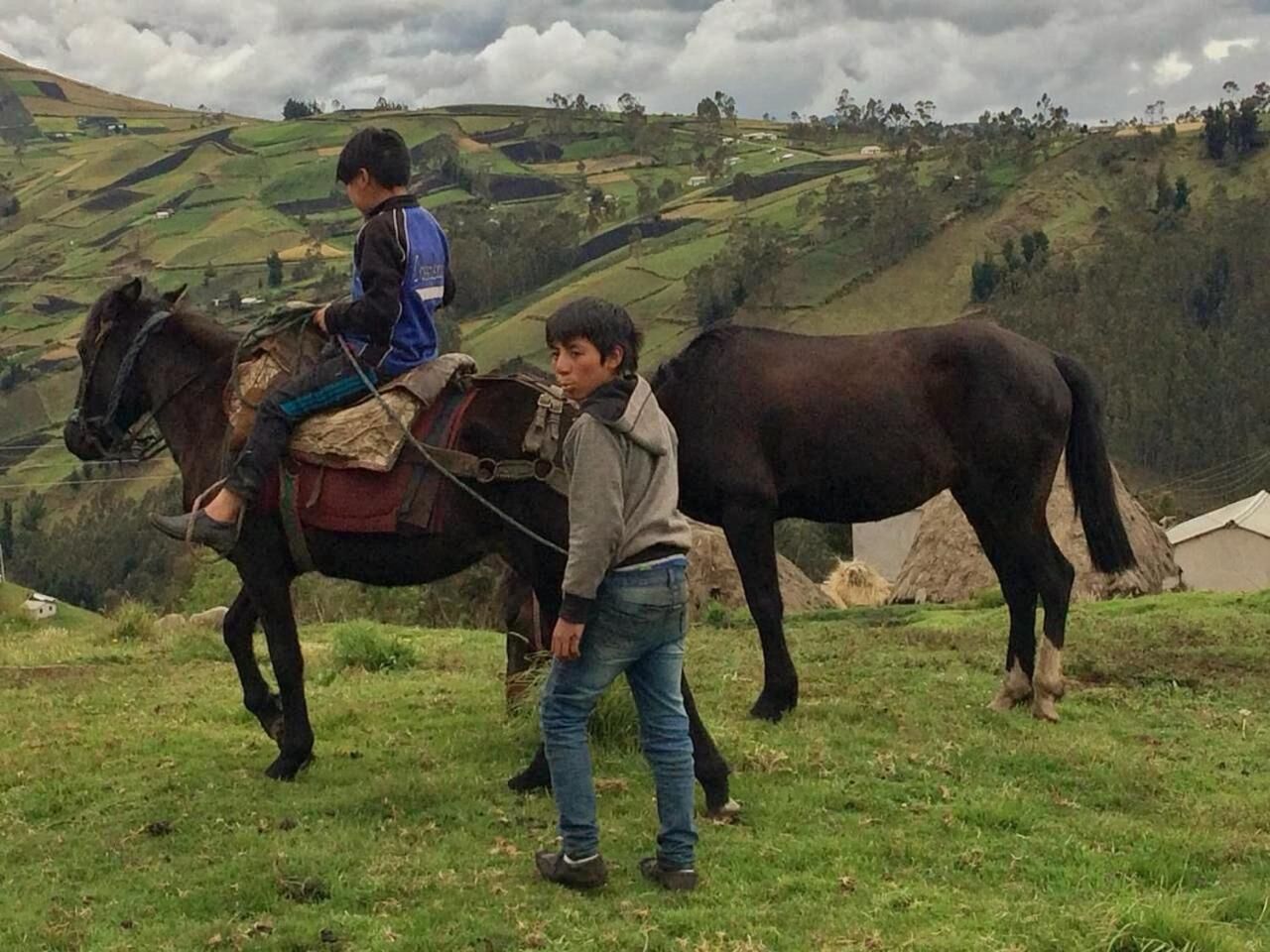 Dos niños con caballos en una ladera cubierta de hierba.