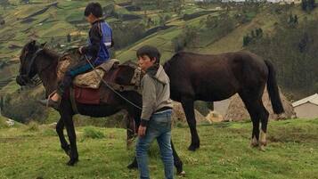 Dos niños con caballos en una ladera cubierta de hierba.
