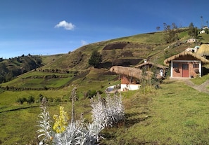 Àrea exterior de l'allotjament