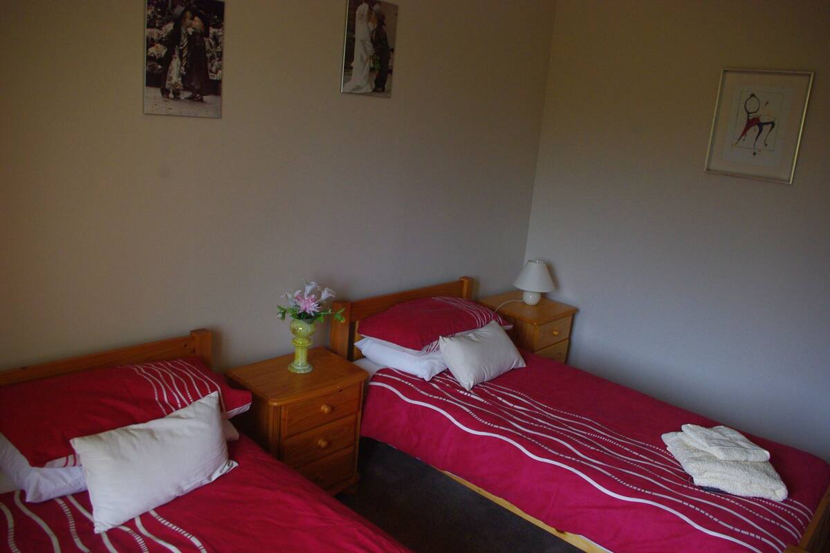 A bedroom with two single beds, each with red bedding and white pillows. There is a nightstand with a lamp and a vase with flowers between the beds.