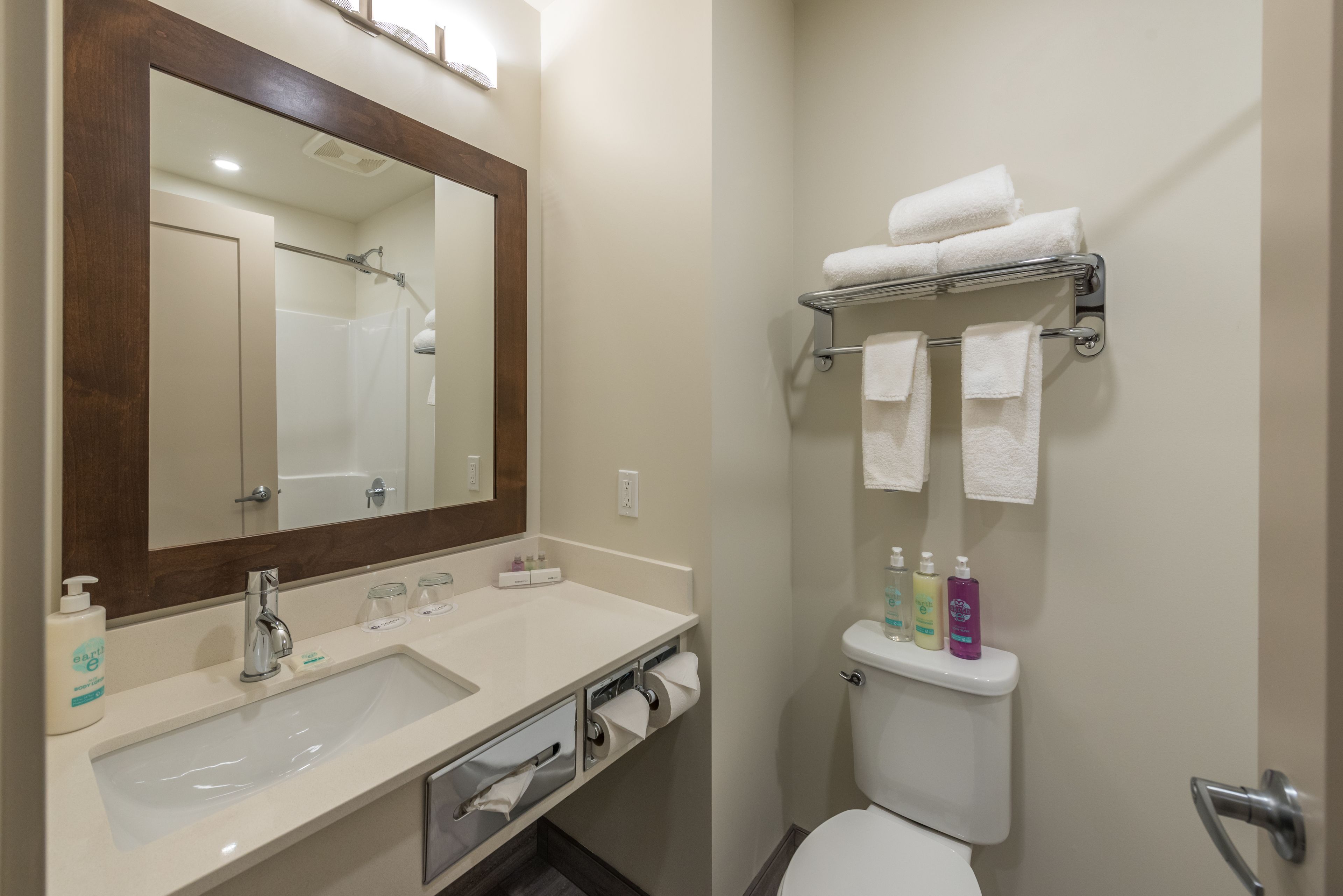 combined shower/bathtub, hair dryer, towels