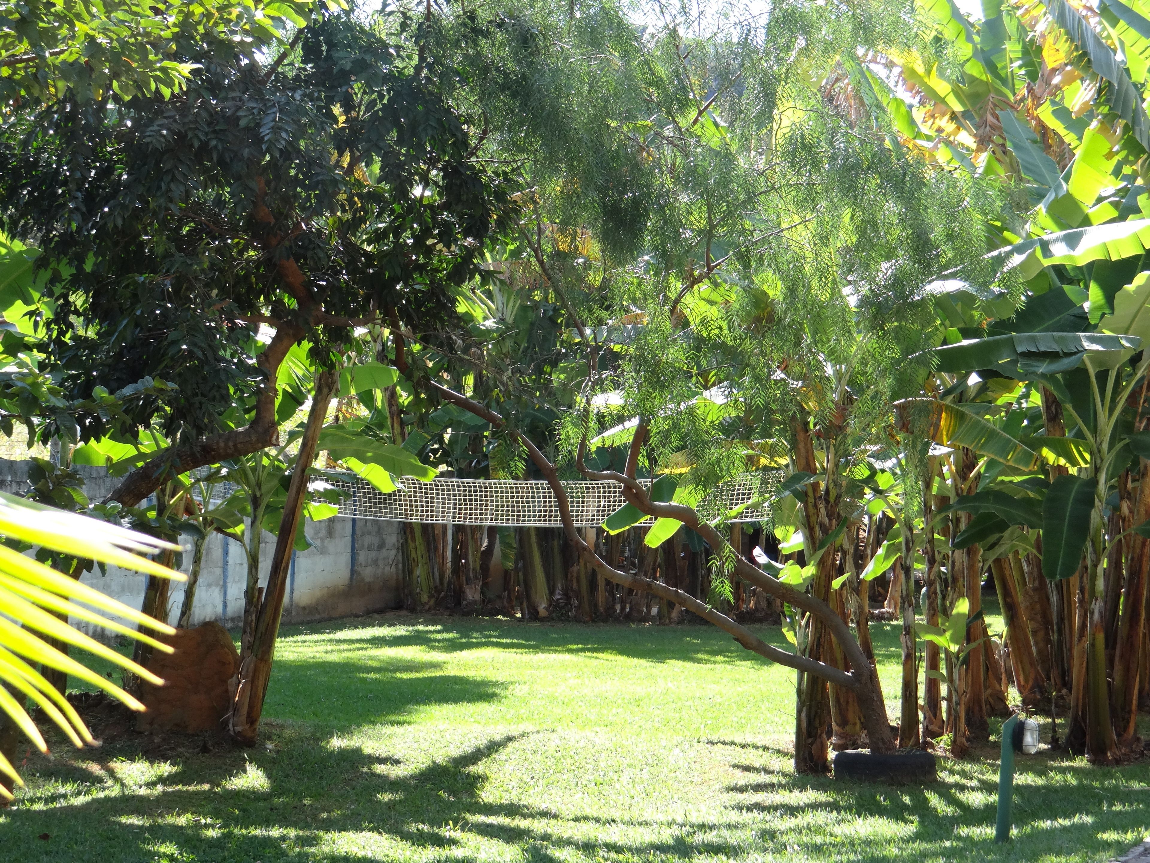 Um jardim exuberante com várias árvores e um gramado.