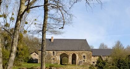 Chambres d'hôtes La Chaussée d'Olivet