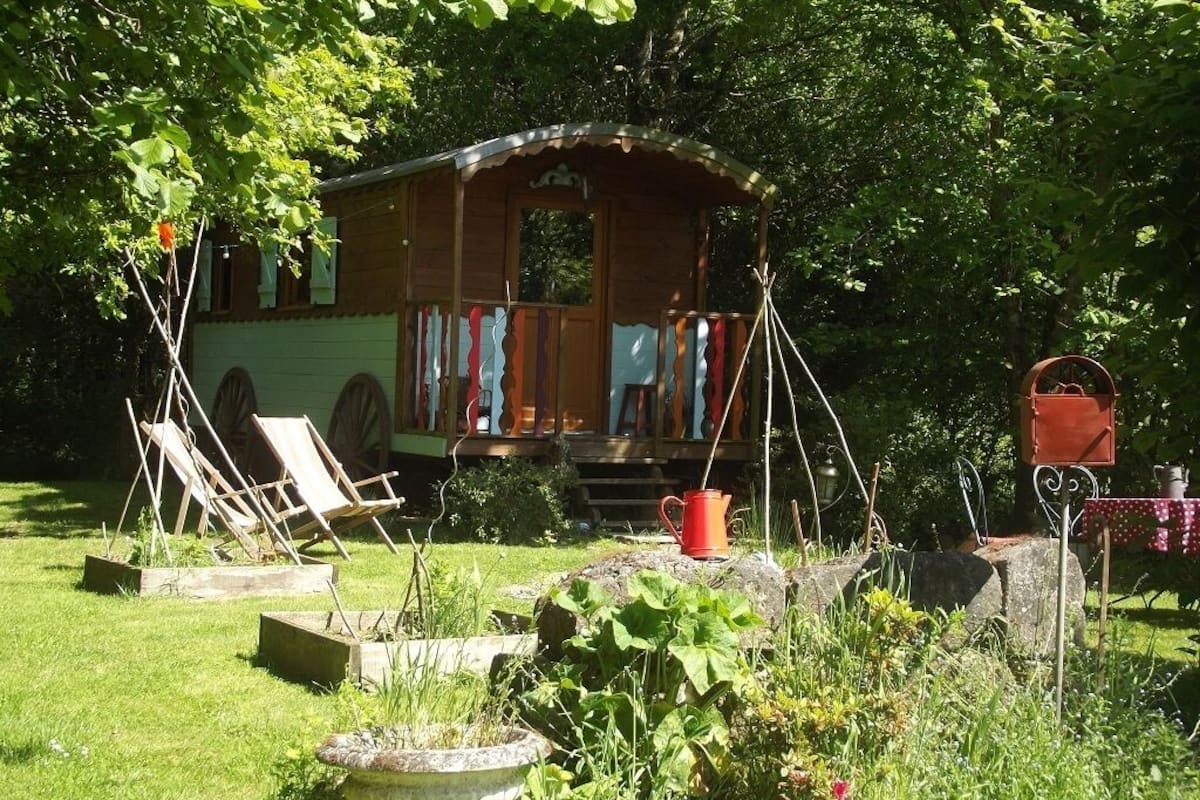 A wooden cabin with a porch, surrounded by lush greenery and a garden with plants and a swing set.