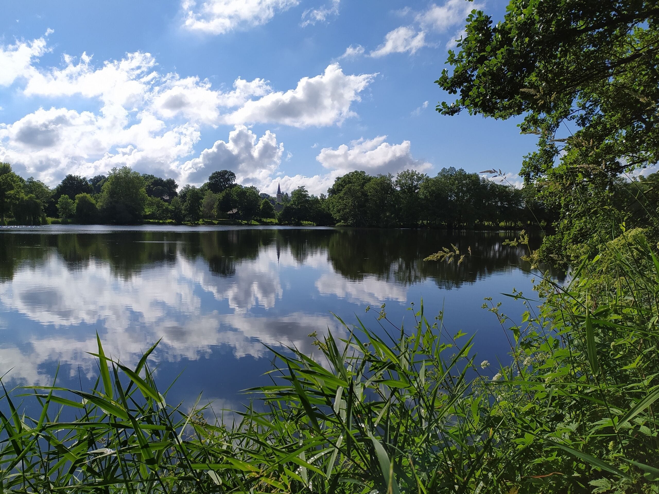 A calm lake with a clear reflection of the sky and surrounding greenery.