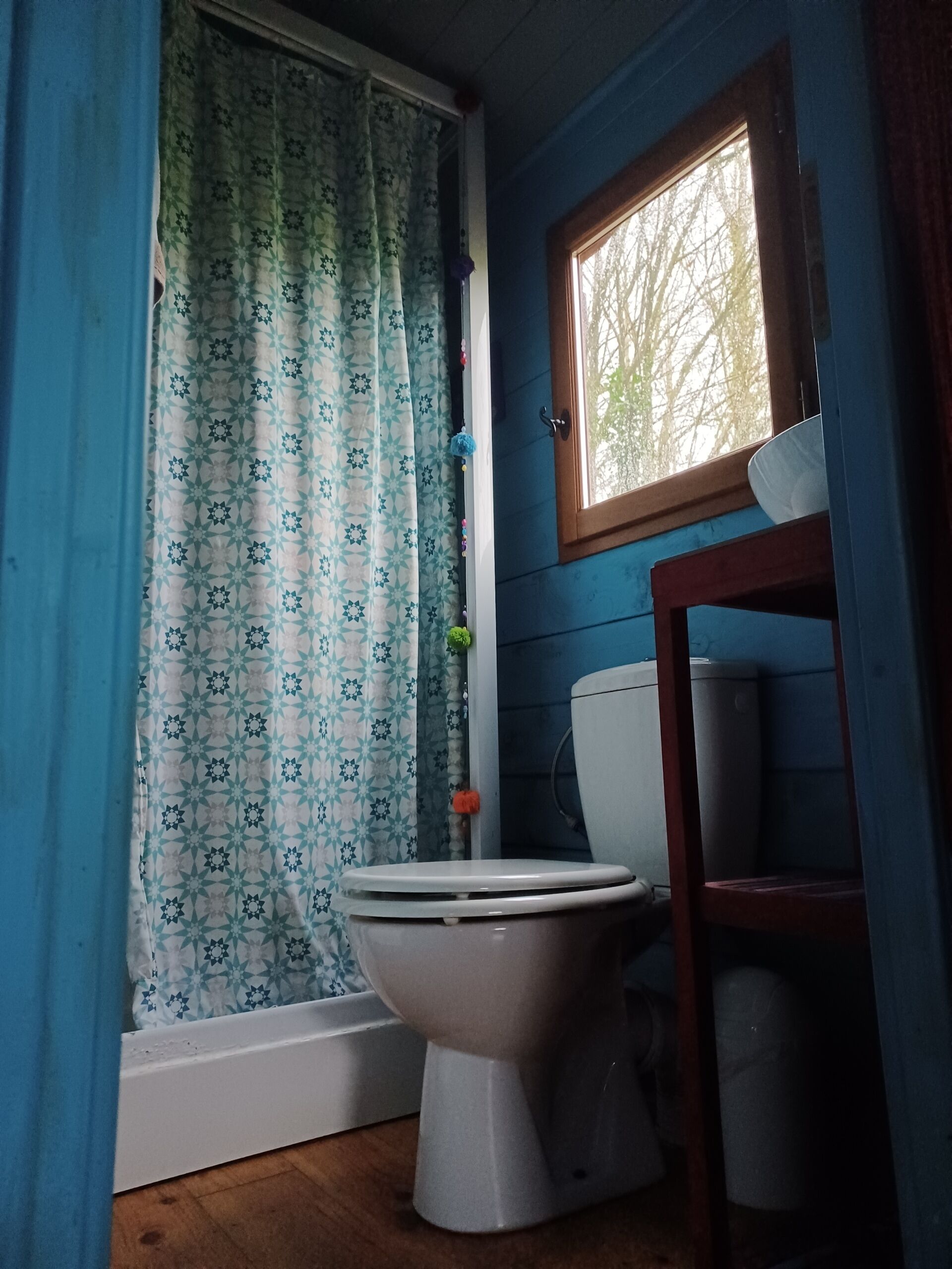 A bathroom with a toilet, a window, and a shower curtain.
