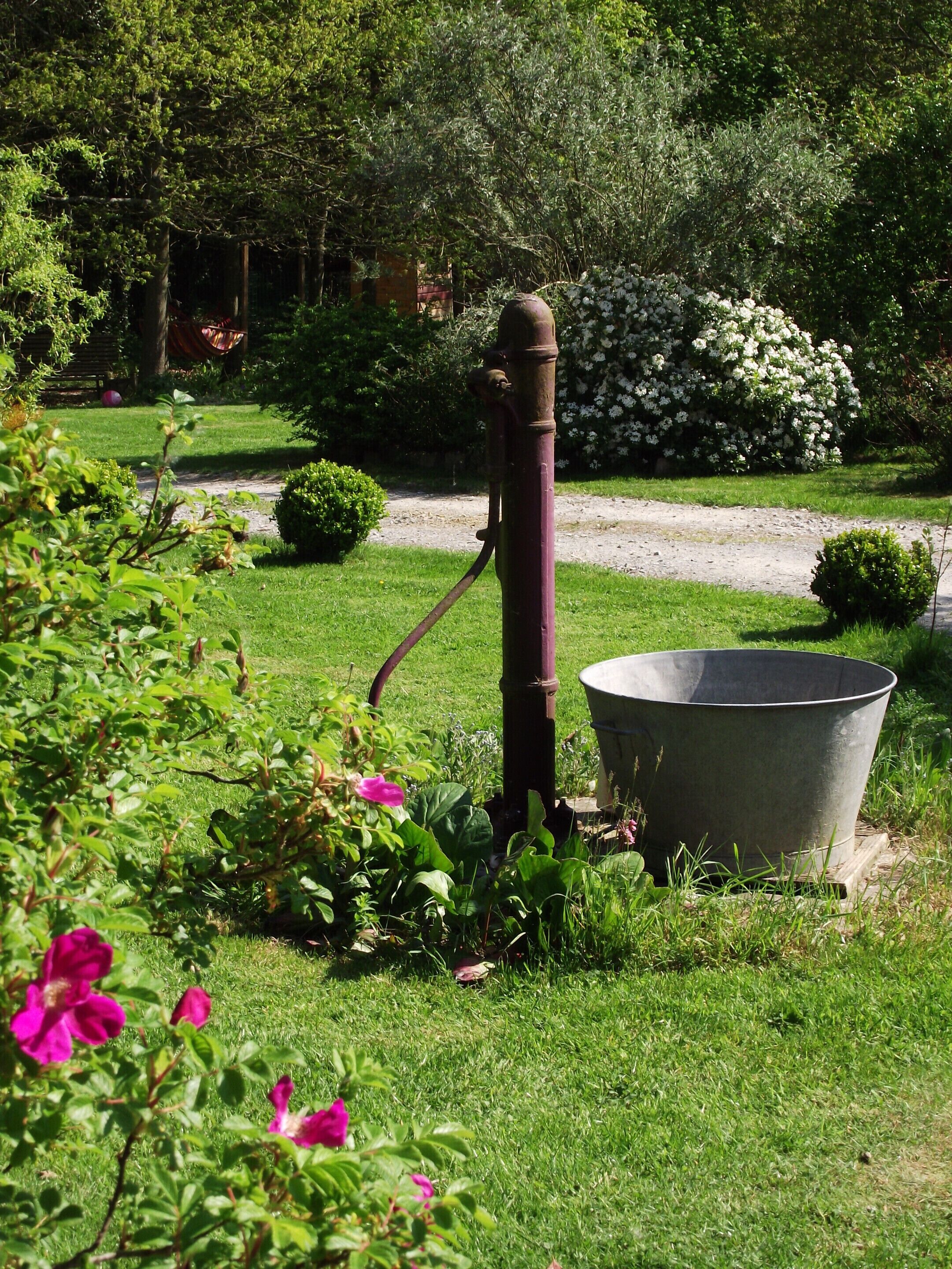 A garden with a metal bucket and a rusted metal structure, surrounded by green grass and flowering plants.