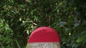 A stone marker with the name "OLIVET La Chaussée" written on it. - Chambres d'hôtes La Chaussée d'Olivet (Olivet)