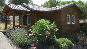 Una cabaña de madera con techo de tejas, un porche cubierto y un jardín con diversas plantas y flores.