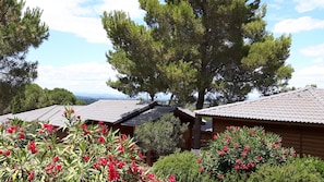 Garden - Les Hauts de Baldy (Agde)